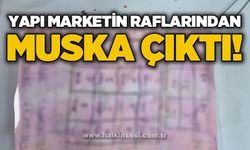 Yapı marketin raflarının arasında muska çıktı: "Büyücülerin şerrinden Allah'a sığınırım"