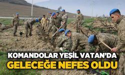 Komandolar yeşil vatanda geleceğe nefes oldu