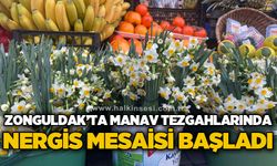 Zonguldak'ta manav tezgahlarında nergis mesaisi başladı