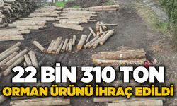 22 bin 310,95 ton orman ürünü ihraç edildi