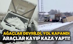 Ağaçlar devrildi, yol kapandı: Araçlar kaza yaptı!