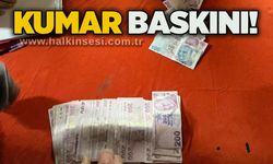 kumar baskını!