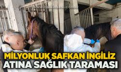 Milyonluk safkan İngiliz atına sağlık taraması