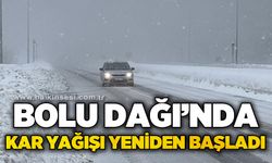 Bolu Dağı’nda kar yağışı yeniden başladı