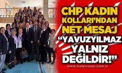 CHP Kadın Kolları'ndan net mesaj: Yavuzyılmaz yalnız değildir
