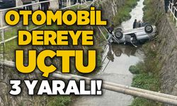 Ereğli’de otomobil dereye uçtu: 3 yaralı
