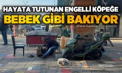 Hayata tutunan engelli köpeğe bebek gibi bakıyor