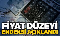 Fiyat düzeyi endeksi açıklandı