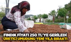 Fındık fiyatı 250 TL'ye geriledi, üretici umudunu yeni yıla bıraktı