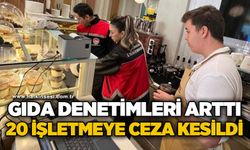 Gıda denetimleri artırıldı: 20 işletmeye ceza kesildi
