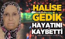 Halise Gedik hayatını kaybetti