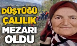 Düştüğü çalılık mezarı oldu