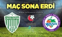 Çayelispor- Ereğli Belediyespor maçı sona erdi...