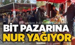 Bit pazarına nur yağıyor