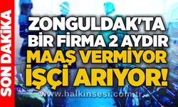 Zonguldak'ta bir firma 2 aydır maaş vermiyor, işçi arıyor!
