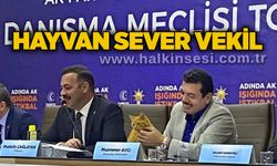 Hayvan sever Vekil
