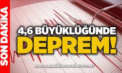 4,6 büyüklüğünde deprem!