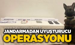 Jandarmadan u*uşturucu operasyonu