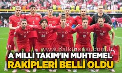 A Milli Takım'ın muhtemel rakipleri belli oldu