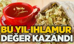 Bu yıl ıhlamur değer kazandı