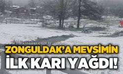 Zonguldak'a mevsimin ilk karı yağdı