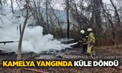 Kamelya yangında küle döndü