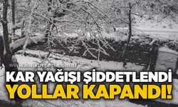 Kar yağışı şiddetlendi: Yollar kapandı!