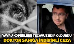 Yavru köpeklere te*avüz edip ö*dürdü: Doktor sanığa indirimli ceza