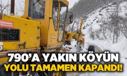 Kardan yolu kapanan köy sayısı 790'a yükseldi