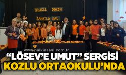 “Bir İyilik Origamisi – LÖSEV’e Umut” Sergisi Kozlu Ortaokulu'nda