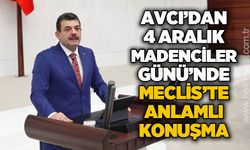 Muammer Avcı'dan 4 Aralık Madenciler Günü'nde Meclis'te anlamlı konuşma