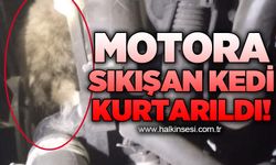 Minibüsün motoruna sıkışan kedi kurtarıldı