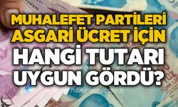Muhalefet partileri yeni asgari ücretin ne kadar olmasını istiyor?