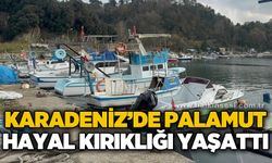 Karadeniz'de palamut hayal kırıklığı yaşattı