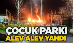 Çocuk parkı alev alev yandı