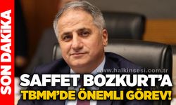 Saffet Bozkurt’a TBMM’de önemli görev!