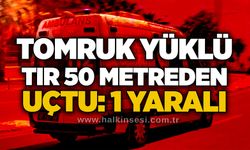 Tomruk yüklü tır 50 metreden uçtu: 1 yaralı