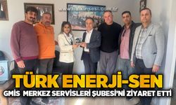 Türk Enerji-Sen, GMİS Merkez Servisleri Şubesi'ni ziyaret etti
