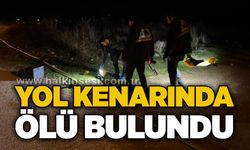 Yol kenarında ölü bulundu