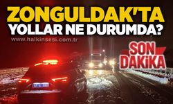 Zonguldak'ta yollar ne durumda?