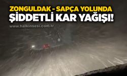 Zonguldak - Sapça yolunda şiddetli kar yağışı!
