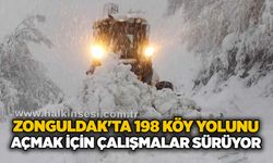 Zonguldak'ta 198 köy yolunu açmak için çalışmalar sürüyor