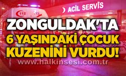Zonguldak'ta 6 yaşındaki çocuk kuzenini vurdu!