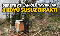 Dereye atılan ölü tavuklar 8 köyü susuz bıraktı