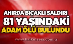 Ahırda bıçaklı saldırı: 81 yaşındaki adam ölü bulundu
