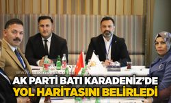 AK Parti Batı Karadeniz’de yol haritasını belirledi