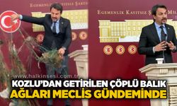 Kozlu’dan getirilen çöplü balık ağları Meclis gündeminde