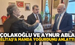Ahmet Çolakoğlu ve Aynur Abla, Mustafa Elitaş'a manda yoğurdunu tanıttı