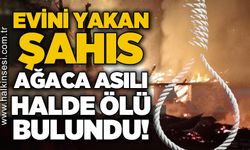 Evini ateşe veren şahıs, ağaçta asılı halde ölü bulundu