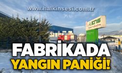 Fabrikada yangın paniği!